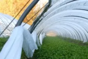  Traditionele waterkersteelt opnieuw erkend