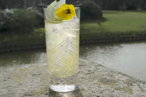 Cocktail Belgian Breezer