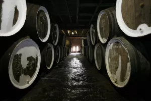 Biercultuur bekroond