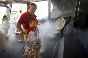 De Oostendse garnaal trekt een streekjasje aan.