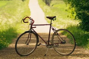 Fietstocht met streekproducten: Vlaamse Ardennen