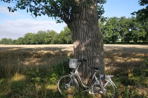 Fietstocht met streekproducten: Oostende