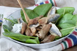 Gefrituurde West-Vlaamse gerookte sprot met tartaar van geitenkaas