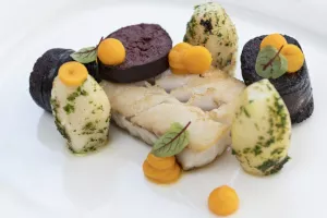 Catch of the day met West-Vlaamse bloeling