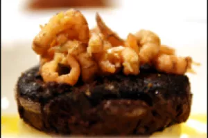 Panna cotta van grondwitloof 