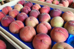 Nieuwe erkenningen september 2025