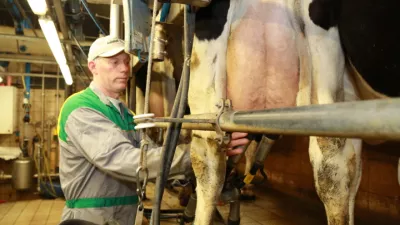 Vlaamse hoeveboter Vlaamse hoeveboter