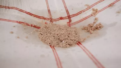 Pajotse gekruide smout