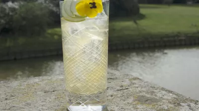 Cocktail Belgian Breezer