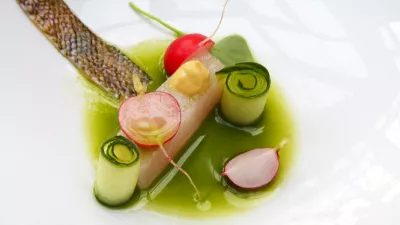 Snoekbaars, Belgische Elixir, komkommer, radijs en Leuvense mosterd.