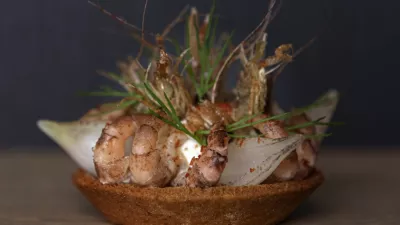 Tartelette grijze garnaal met gemarineerde uitjes