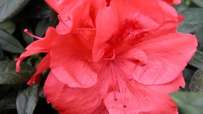 Europese beschermde streekproducten worden streng gecontroleerd.