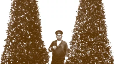 Vlaamse laurier heeft zijn Europese erkenning!