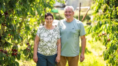Gezond van bij ons: confituren en ingemaakt fruit op grootmoeders wijze 