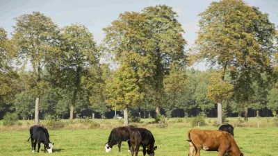 Kaasmakerij Abdij van de Trappisten Westmalle