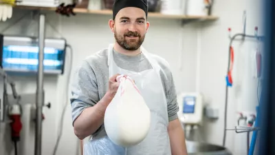 Vlaamse schapenplattekaas van Bosschelle: puur, lokaal en met liefde gemaakt