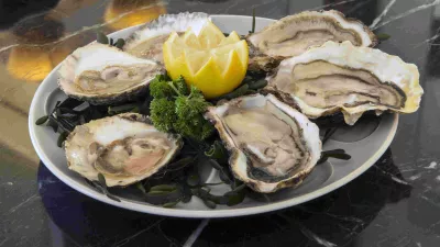 Oostendse oesters