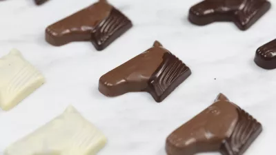 Belgische paardenkoppraline