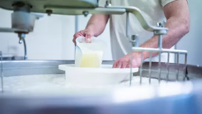 Twee Vlaamse schapenkazen met een verhaal: puur, lokaal en erkend