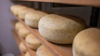 Hoeveschapenkaas uit de Vlaamse Ardennen