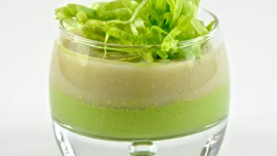 Grondwitloofsoep met Kropsla en Gerookte Sprot