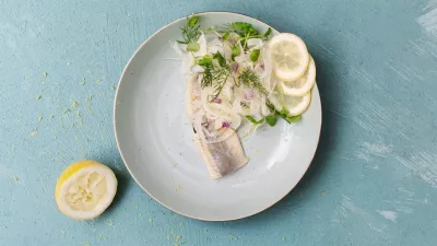 Salade van Vlaamse opgelegde haring met venkel