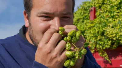 Orde van de Groene Bel