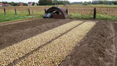 Plan een bezoek aan de witloofstreek