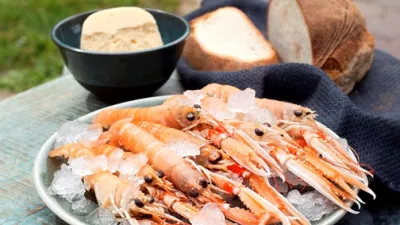 Dagny maakt smeuïg hapje uit de Noordzee 