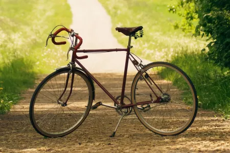 Fietsen langs streekproducenten
