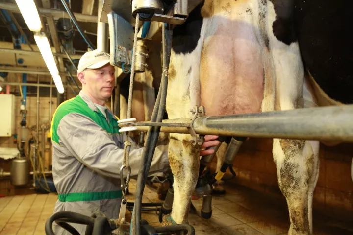 Vlaamse hoeveboter  Streekproduct.be