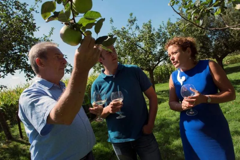 Limburgse appelwijn met druiven Streekproduct.be