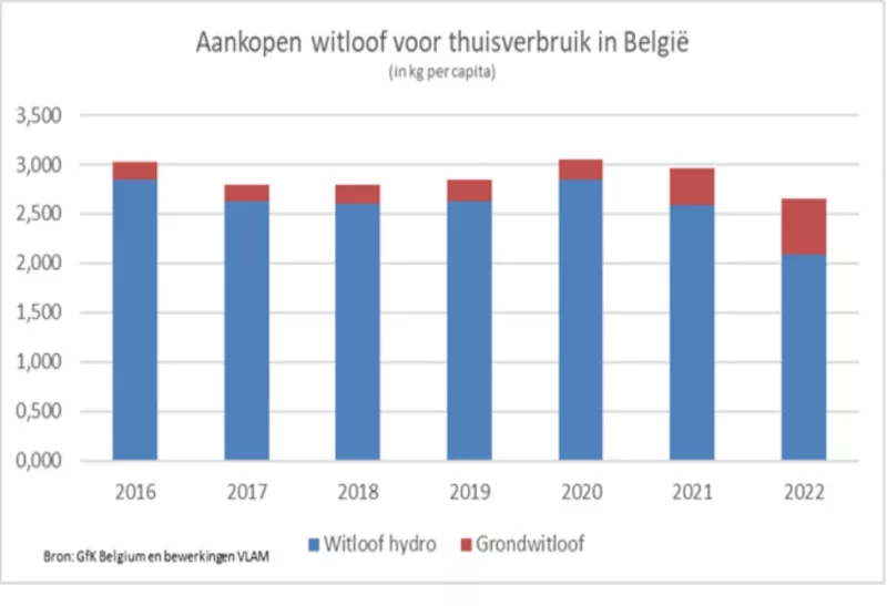 Aankoop thuisverbruik witloof 2016-2022 Streekproduct.be