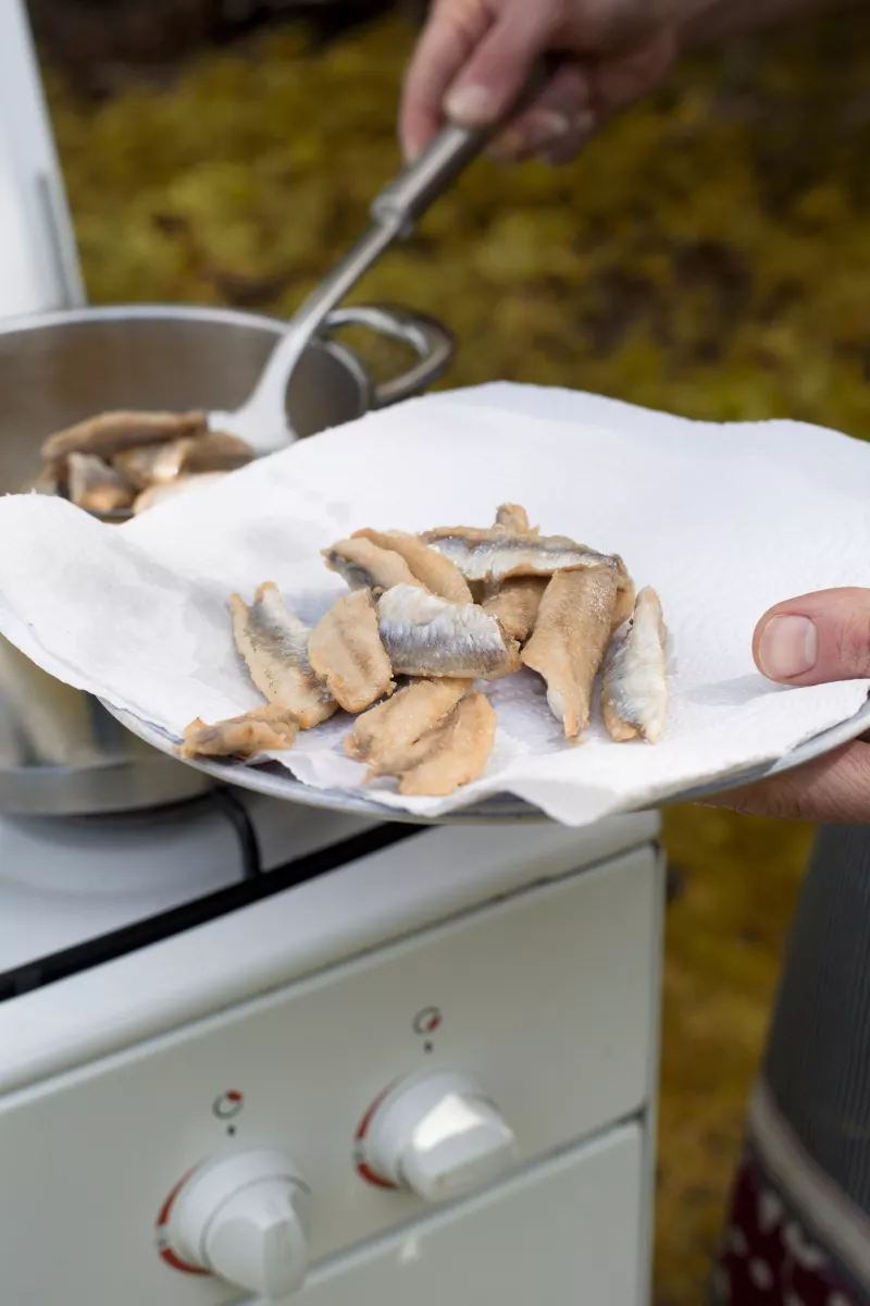 Gefrituurde West-Vlaamse gerookte sprot met geitenkaas tartaar Streekproduct.be