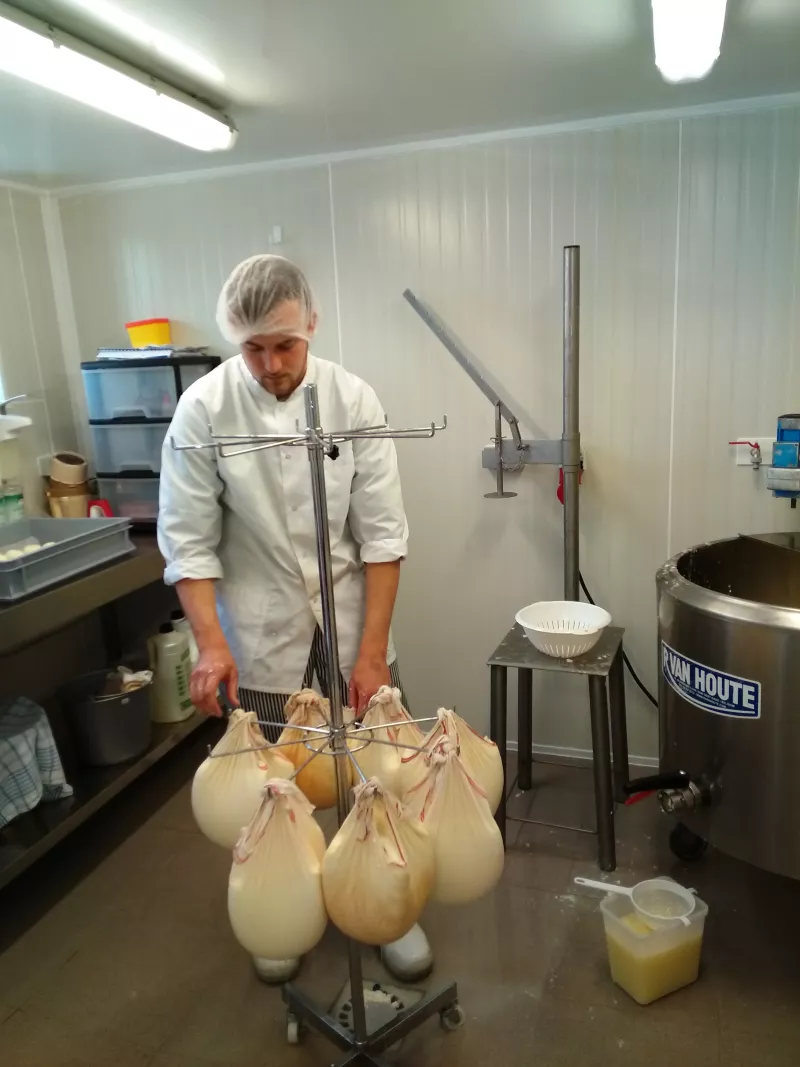 Vlaamse schapenplattekaas Streekproduct.be
