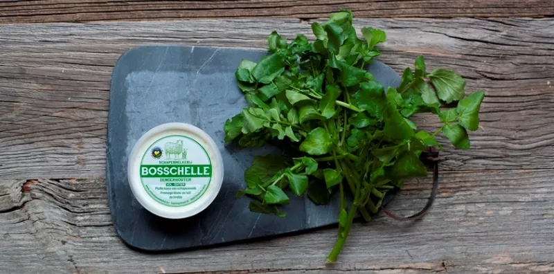 Vlaamse schapenplattekaas Streekproduct.be