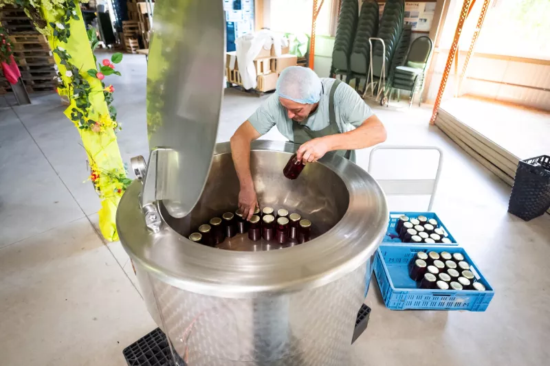 Haspengouwse kersen op kriekensap Streekproduct.be