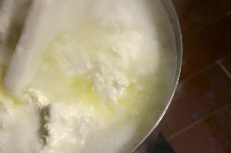 De melk stremt en de matten vormen zich Streekproduct.be