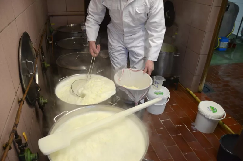 Matten worden in een doek geschept Streekproduct.be