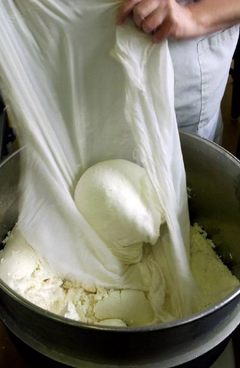Geitenboerderij Polle - Productie Streekproduct.be