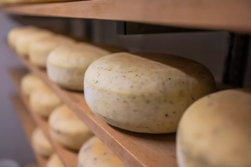 De Brebis de Brakel Streekproduct.be