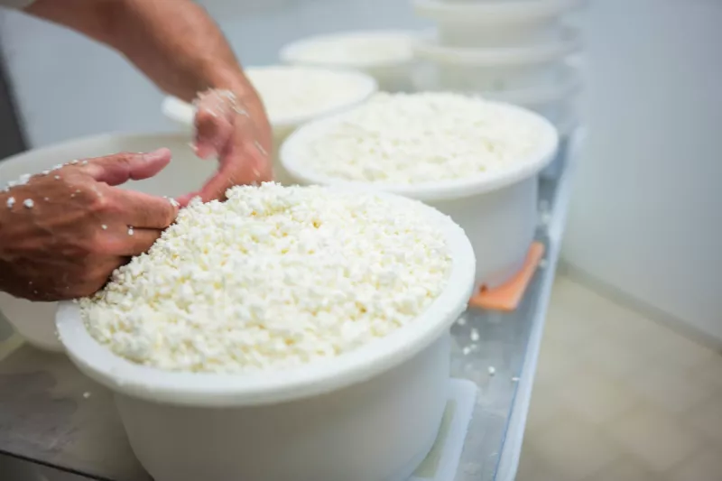 Hoeveschapenkaas uit de Vlaamse Ardennen - Productie Streekproduct.be