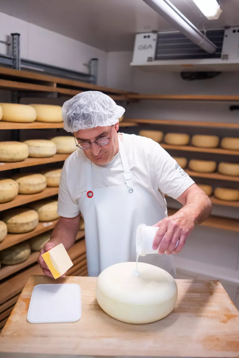 Hoeveschapenkaas uit de Vlaamse Ardennen - Productie Streekproduct.be