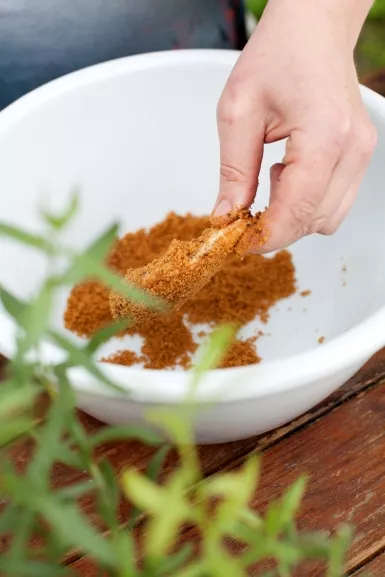 Mechelse koekoek met een speculaaskorstje, rabarber met kandijsuiker Streekproduct.be