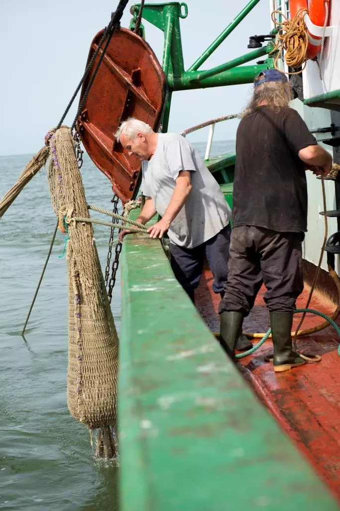 Vlaamse grijze garnaal - Gevulde netten Streekproduct.be