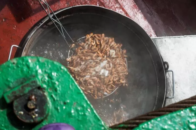 Vlaamse grijze garnaal - Koken aan boord Streekproduct.be