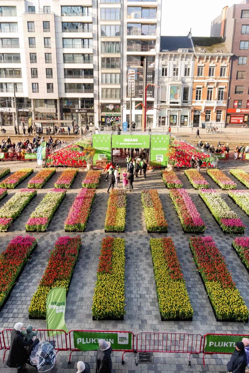 De pluktuin 2024 Streekproduct.be