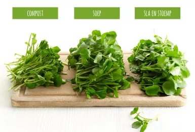 Waterkers in de keuken Streekproduct.be