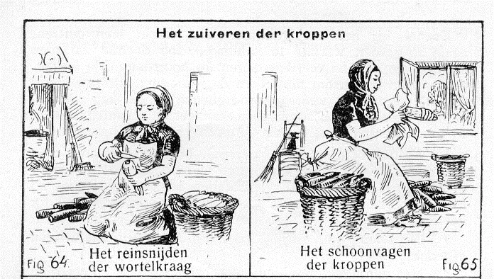 Grondwitloof Streekproduct.be
