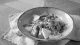 Grondwitloof salade met waterkers,  filet d’Anvers en espuma van oude Postelkaas